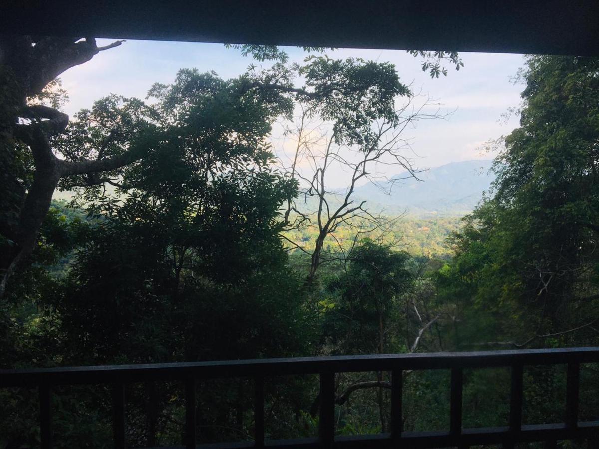 Arangala Forest Lodge Naula Luaran gambar